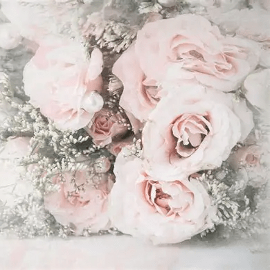 Photo de Jacqueline DELVILLE